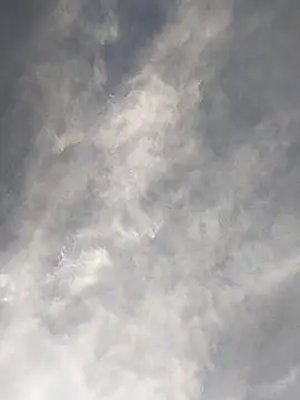 FloppyPickle4u online show from February 17, 2025, 11:42 pm