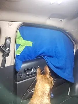 FloppyPickle4u online show from February 18, 2025, 5:31 pm