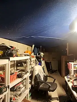 FloppyPickle4u online show from February 25, 2025, 5:41 am