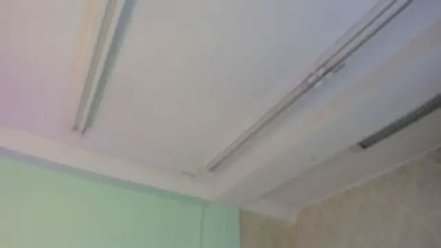 EvaaStevens online show from November 5, 2025, 12:16 pm