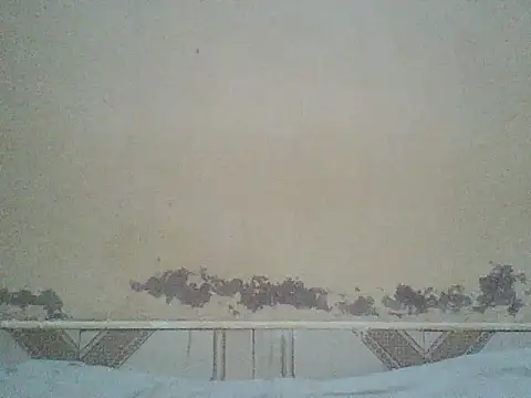 Naivegirrl online show from July 3, 2026, 10:43 am