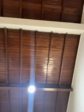 Snapshot of emiss_ chatting on February 5, 2026, 3:05 pm emiss online show from February 5, 2026, 3:05 pm