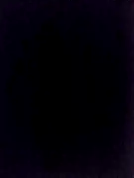 BongChannel online show from January 1, 2025, 11:40 pm