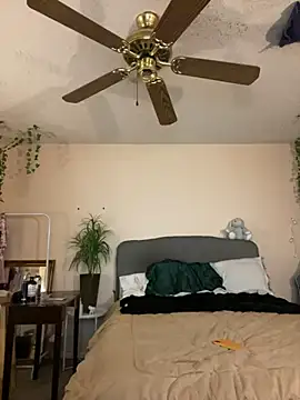 magicalc00ch online show from December 23, 2024, 3:29 am