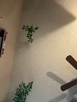 magicalc00ch online show from March 16, 2025, 9:37 pm