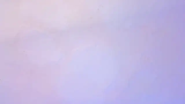 Emily Gil1 online show from February 19, 2025, 7:48 pm