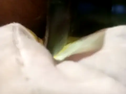 Snapshot of Pcsammy73 chatting on November 26, 2025, 10:05 am Pcsammy73 online show from November 26, 2025, 10:05 am