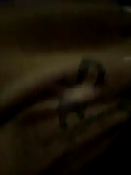 Snapshot of eveangelll chatting on October 21, 2025, 3:51 am eveangelll online show from October 21, 2025, 3:51 am