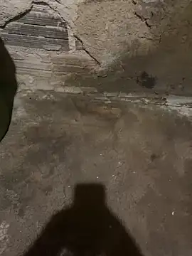 s1437jdjjddjjshbx online show from February 24, 2025, 8:49 am