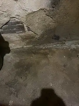 s1437jdjjddjjshbx online show from March 5, 2025, 5:29 am