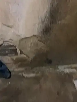 s1437jdjjddjjshbx online show from March 9, 2025, 9:35 am