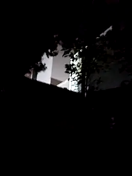 nkp23cm online show from November 24, 2025, 11:10 am