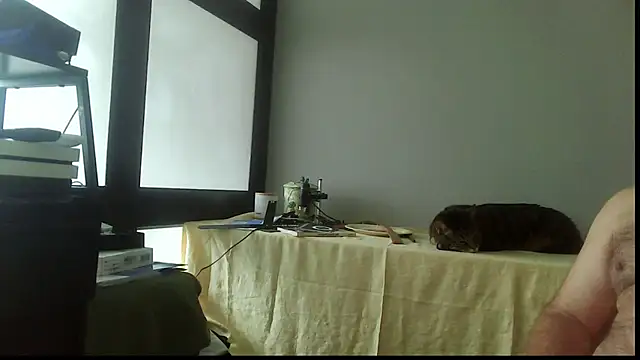 SexWorkerX online show from November 15, 2025, 4:25 pm