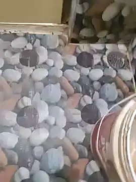 telugumoddahyd online show from January 26, 2025, 6:38 am