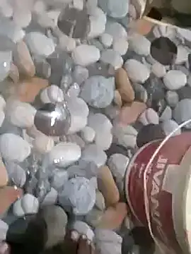 telugumoddahyd online show from February 5, 2025, 2:19 am