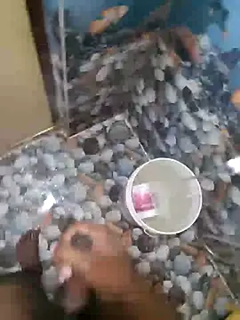 telugumoddahyd online show from November 1, 2025, 2:46 am