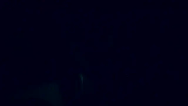 Lia Y PatrickX online show from February 6, 2025, 12:16 pm