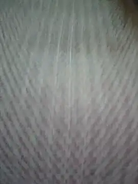 zizi public online show from March 14, 2025, 1:59 am