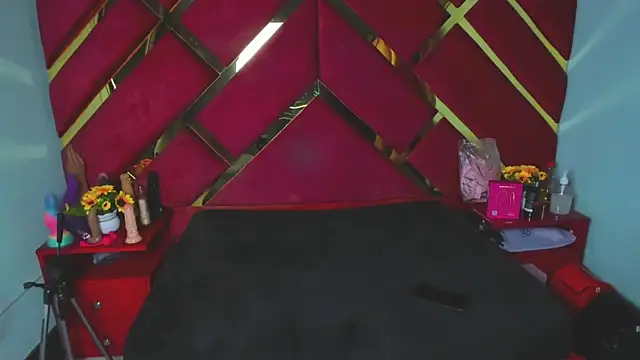 Snapshot of Sweet_Annyy chatting on February 13, 2026, 12:56 pm Sweet Annyy online show from February 13, 2026, 12:56 pm