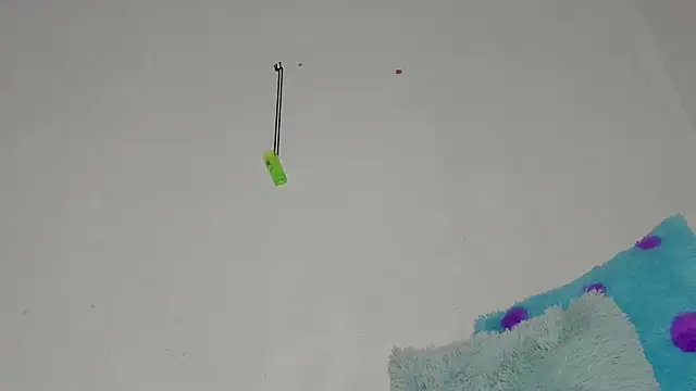 Snapshot of sebas_rose chatting on December 11, 2024, 12:44 am sebas rose online show from December 11, 2024, 12:44 am