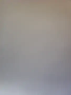 Astoria Moon online show from December 31, 2024, 12:04 pm