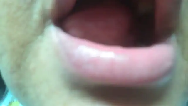 Shanttal0272 online show from March 29, 2026, 4:56 am