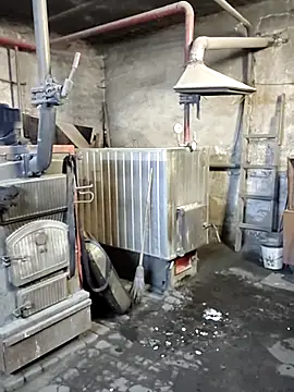 MityaXLoves online show from December 22, 2025, 6:49 pm