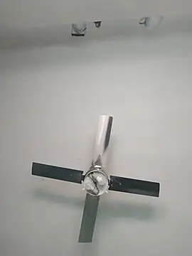 Snapshot of nicedick_bro chatting on October 6, 2025, 6:38 pm nicedick bro online show from October 6, 2025, 6:38 pm