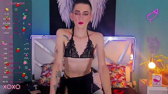 dominic thailor online show from March 18, 2025, 2:37 pm