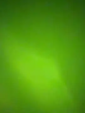 Snapshot of nene_fun chatting on January 31, 2026, 10:08 pm nene fun online show from January 31, 2026, 10:08 pm