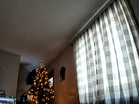 Seymour93 online show from January 30, 2025, 1:31 pm