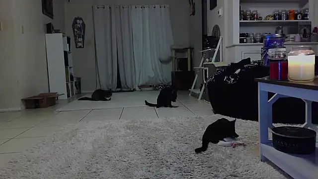 Snapshot of CrystalLakeXO chatting on October 19, 2025, 7:42 am CrystalLakeXO online show from October 19, 2025, 7:42 am