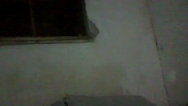PAUBRASILEIRORJ online show from July 17, 2026, 1:56 am