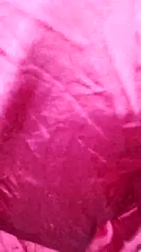 Snapshot of Kitty_Doll69 chatting on November 4, 2025, 7:46 pm Kitty Doll69 online show from November 4, 2025, 7:46 pm