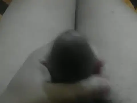 Snapshot of wixssam chatting on January 3, 2025, 8:43 am wixssam online show from January 3, 2025, 8:43 am