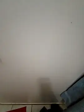 Reinacatchile online show from December 17, 2024, 1:50 am