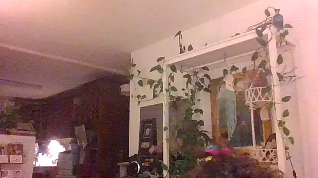 juicyrubies online show from September 16, 2025, 5:58 pm