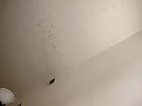 Snapshot of Barrentine88 chatting on March 18, 2025, 10:37 pm Barrentine88 online show from March 18, 2025, 10:37 pm