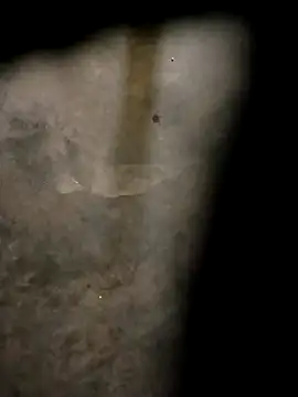 Snapshot of Yasha_14C_Creator chatting on October 31, 2025, 4:57 am Yasha 14C Creator online show from October 31, 2025, 4:57 am