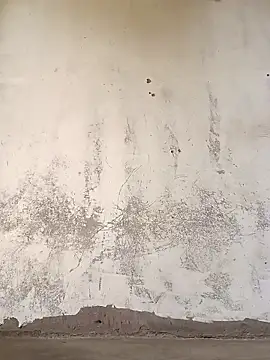 Snapshot of Yasha_14C_Creator chatting on November 8, 2025, 7:19 am Yasha 14C Creator online show from November 8, 2025, 7:19 am