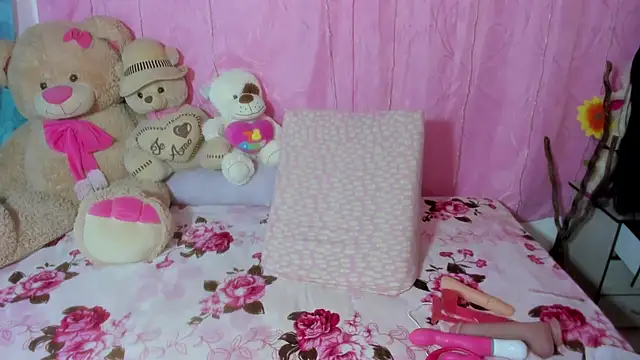 Dana Jeins online show from November 27, 2025, 1:13 pm