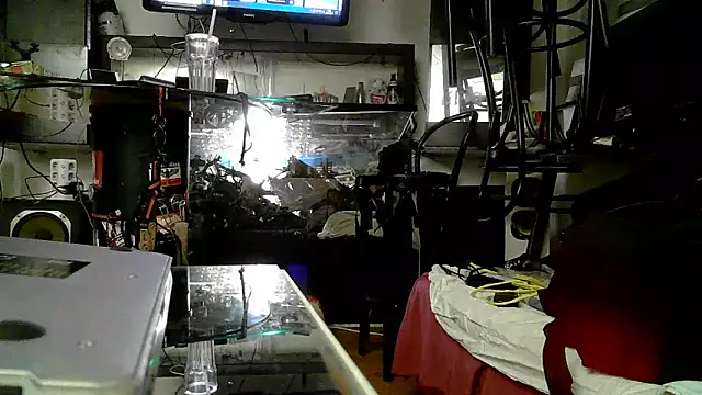 0815lukas2024 online show from November 3, 2025, 5:03 pm