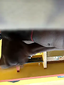 Tamil boy age28 online show from January 12, 2026, 3:34 am