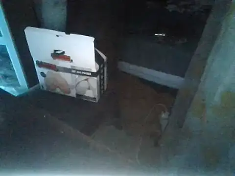 rubiomdz online show from January 15, 2025, 10:57 pm