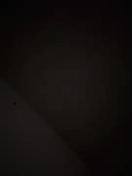 casadoscuriosos97 online show from March 11, 2026, 5:02 am