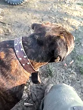 mitulik84 online show from December 19, 2025, 11:50 am