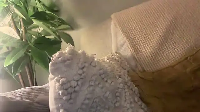 toptugger online show from October 17, 2025, 7:27 pm