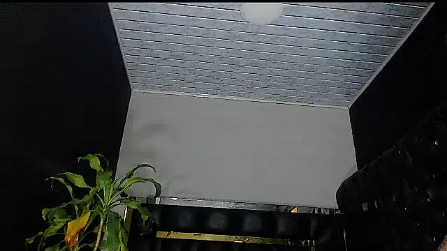 Kitie Petarda online show from October 19, 2025, 9:59 pm