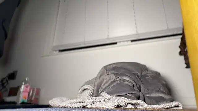 Theonlydreamybull online show from April 20, 2026, 4:37 am