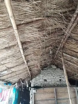 Hot-rubina online show from February 12, 2026, 10:10 am